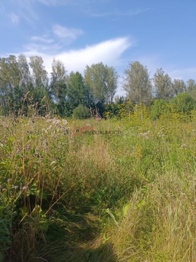 Лот: 23363984. Фото: 1. Участок Новосибирская область... Дома