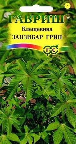 Лот: 11025119. Фото: 1. Клещевина Занзибар Грин 5 шт. Садовые цветы