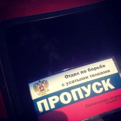 Лот: 4266382. Фото: 1. Пропуск отдел по борьбе с усатыми... Наклейки автомобильные