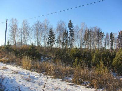 Лот: 2530203. Фото: 1. Земельные участки (Правый берег... Земельные участки