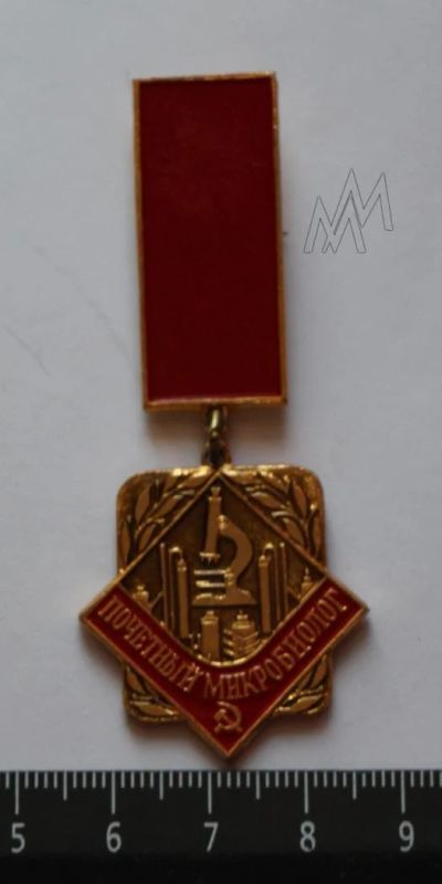 Лот: 9092158. Фото: 1. Наградной знак на подвеске: почетный... Сувенирные