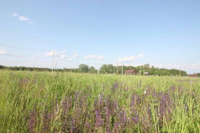 Лот: 25516635. Фото: 1. участок , коттеджный посёлок Золотая... Земельные участки