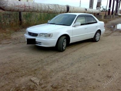 Лот: 1614550. Фото: 1. Toyota Corolla. Автомобили