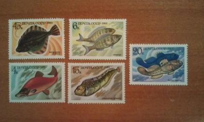 Лот: 5333469. Фото: 1. () Марки, Рыбы 1983. Марки