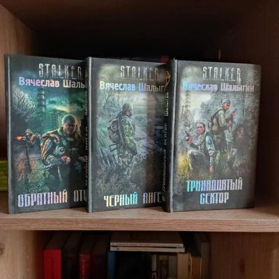 Лот: 23018396. Фото: 1. Книги Сталкер Вячеслав Шалыгин. Художественная