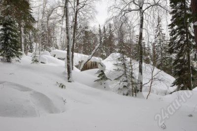 Лот: 728404. Фото: 1. Фотокартина.Любителям Сибирской... Другое (предметы интерьера)