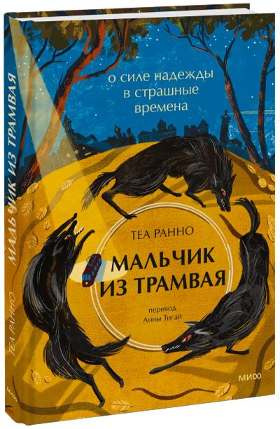 Лот: 24464734. Фото: 1. Мальчик из трамвая. Другое (искусство, культура)
