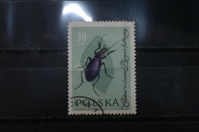 Лот: 3961272. Фото: 1. марка 13 Польша фауна. Марки