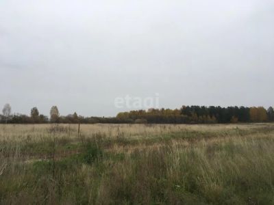 Лот: 25292619. Фото: 1. участок , Сосновоборск Сосновоборск... Земельные участки