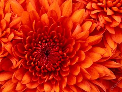 Лот: 5556163. Фото: 1. Земельный участок. Земельные участки