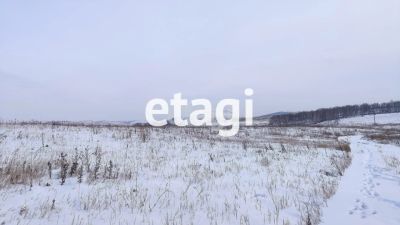 Лот: 22555195. Фото: 1. Продам участок 12.5 сот. Новосибирское... Земельные участки