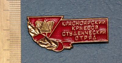 Лот: 12769696. Фото: 1. Редкий значок: Красноярский краевой... Сувенирные