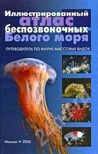Лот: 479867. Фото: 1. Иллюстрированный атлас беспозвоночных... Другое (литература, книги)
