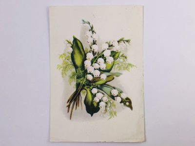 Лот: 23296526. Фото: 1. Ландыш. Открытка. 1957. Открытки, конверты