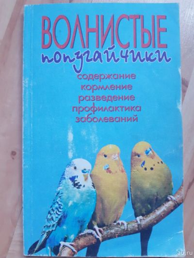 Лот: 17086478. Фото: 1. Книга "Волнистые попугайчики". Домашние животные