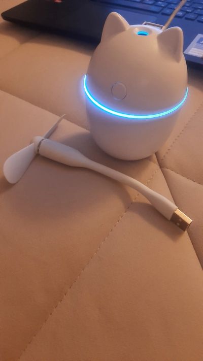 Лот: 20993046. Фото: 1. Ночник + Вентилятор УСБ USB. Разные... Вентиляторы бытовые