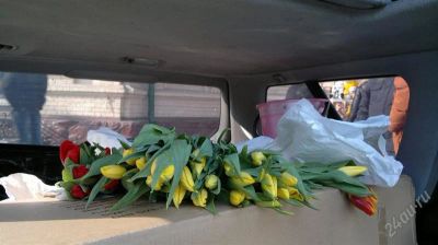 Лот: 2474327. Фото: 1. Тюльпаны оптом! Голландия!. Другое (растения и животные)