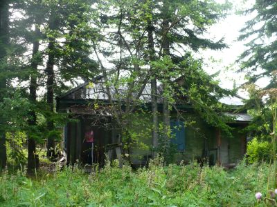 Лот: 11842315. Фото: 1. Дача Крючкова общество "Ванчес... Дачи