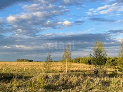 Лот: 25284373. Фото: 1. участок , территория Заустюжье... Земельные участки