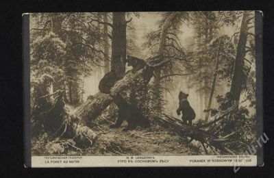Лот: 396567. Фото: 1. дореволюционная открытка. Голодные... Документы, ценные бумаги, письма