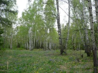 Лот: 3932496. Фото: 1. продам участок серебряково ИЖС. Земельные участки