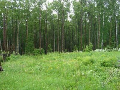 Лот: 2582723. Фото: 1. Участок Овинный 5,5 соток. Земельные участки