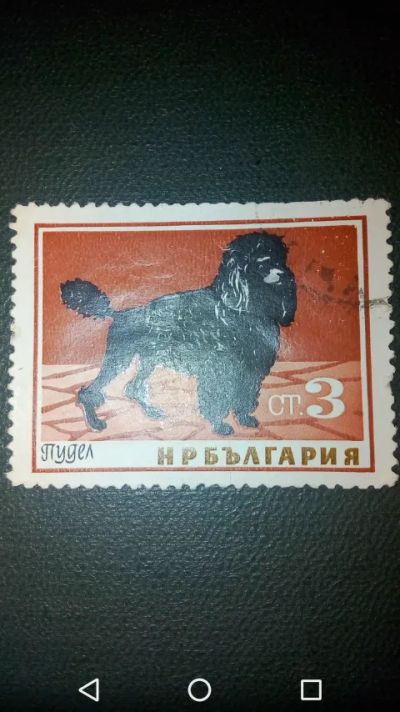 Лот: 19836730. Фото: 1. Болгария. Пудель. Собака. Животные... Марки