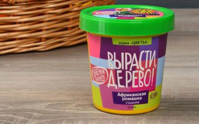 Лот: 12720266. Фото: 1. Вырасти дерево: Ромашка африканская. Настольные игры, карты