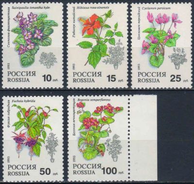 Лот: 25114421. Фото: 1. 1993, 25 марта. Комнатные растения... Марки