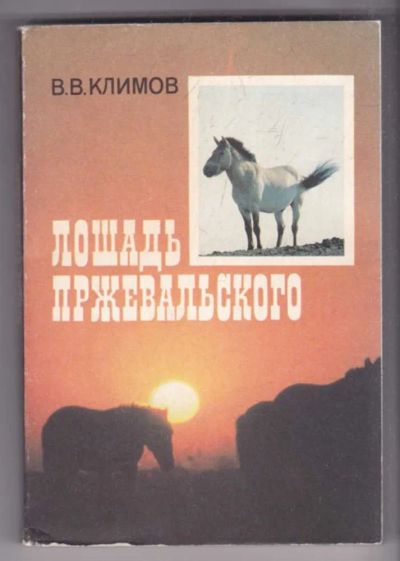 Лот: 23439362. Фото: 1. Лошадь Пржевальского. Домашние животные