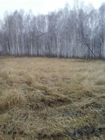 Лот: 5294803. Фото: 1. Земельный участок. Земельные участки