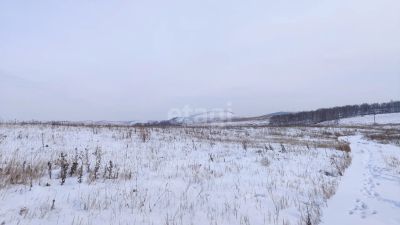 Лот: 25296950. Фото: 1. участок , село Дрокино улица Чкалова... Земельные участки