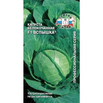Лот: 24077753. Фото: 1. Семена Капуста белокочанная, Вспышка... Другое (семена, рассада, садовые растения)
