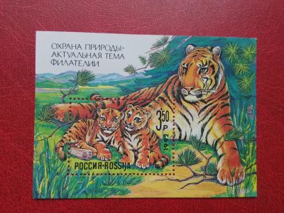 Лот: 12107511. Фото: 1. 1992 , Сол 4, Охрана природы -... Марки