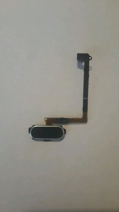 Лот: 11520044. Фото: 1. Шлейф кнопки Home. Толкатель... Шлейфы, разъёмы
