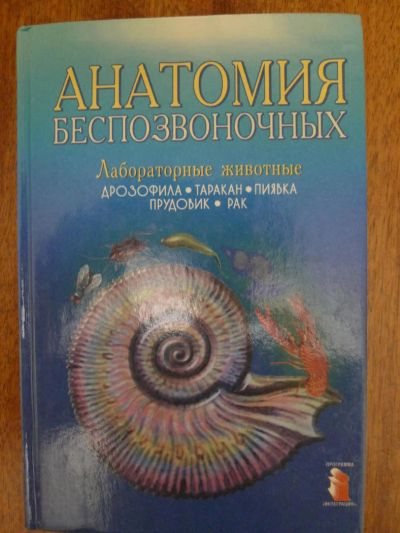 Лот: 4897885. Фото: 1. Книга: Ноздрачев. Анатомия беспозвоночных... Для вузов