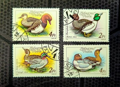 Лот: 24406614. Фото: 1. Марки: Венгрия. 1988 Утки (гашеные... Марки