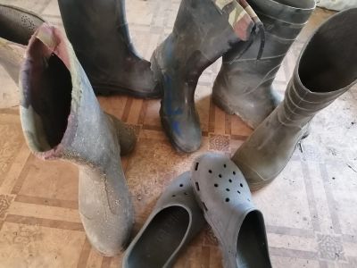 Лот: 16228570. Фото: 1. Сапоги. Сапоги, полусапоги