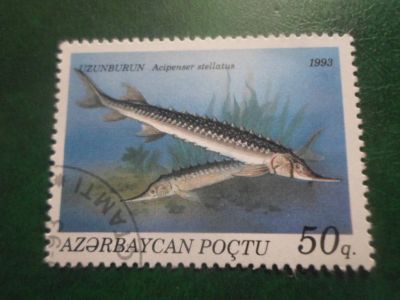 Лот: 18053136. Фото: 1. Марка для Вашей коллекции. №60020. Марки