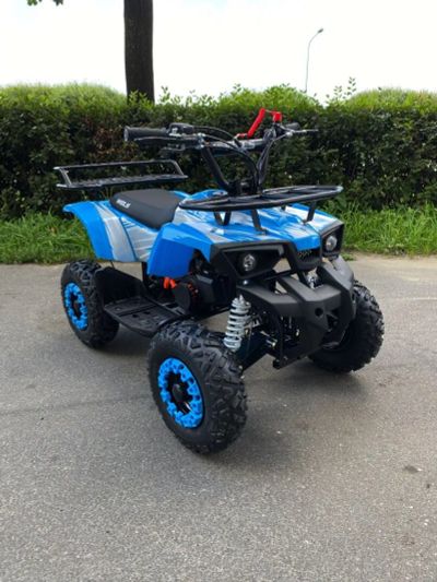 Лот: 24065779. Фото: 1. Квадроцикл WELS Thunder mini 2T. Снегоходы, квадроциклы