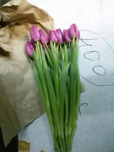 Лот: 7041655. Фото: 1. Тюльпаны (реально большие... Подарки на 8 марта