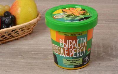 Лот: 15179673. Фото: 1. Вырасти дерево: Леопардовая лилия. Настольные игры, карты