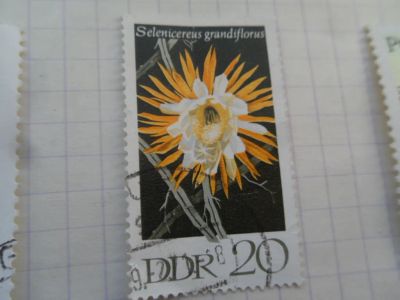 Лот: 21423458. Фото: 1. Почтовая марка № 4019. Марки