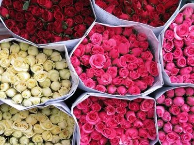 Лот: 6776986. Фото: 1. Роза в ассортименте. Букеты. Доставка... Свежие цветы