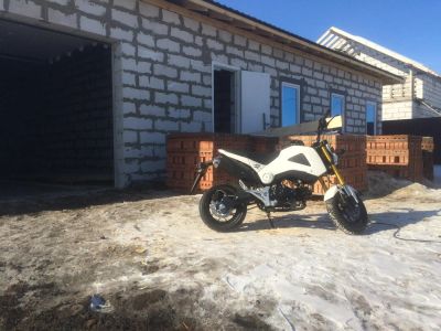 Лот: 7115256. Фото: 1. Honda MSX (GROM). Мотороллеры, мопеды