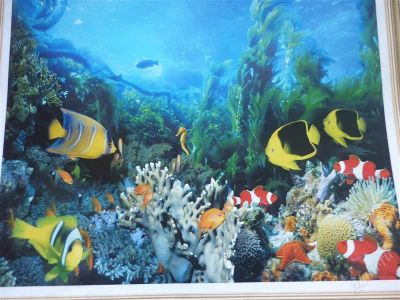 Лот: 2638584. Фото: 1. продам фото обои новые с рубля... Обои, панели, ДВП, ДСП, МДФ