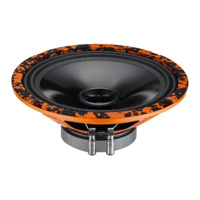 Лот: 18873386. Фото: 1. DL Audio Gryphon Lite 200. Акустика автомобильная