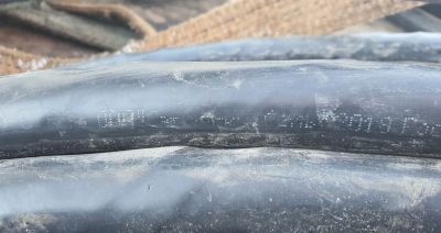 Лот: 25115252. Фото: 1. Кабель вбшвнг(А) -хл 4х25 ок-0... Провода, кабели