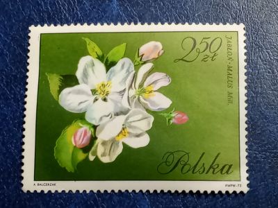 Лот: 25888293. Фото: 1. Марки Флоры и Фауны. лот №-94006. Марки