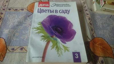 Лот: 9071515. Фото: 1. Цветы в саду. Сад, огород, цветы
